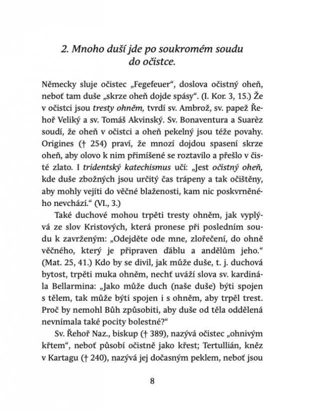 Utrpení a radosti očistce